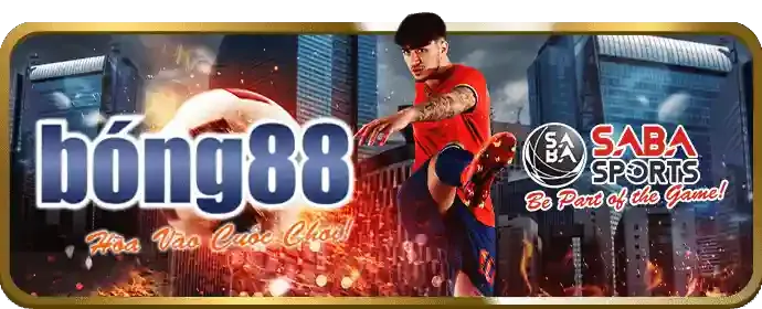 Cá cược thể thao vi88